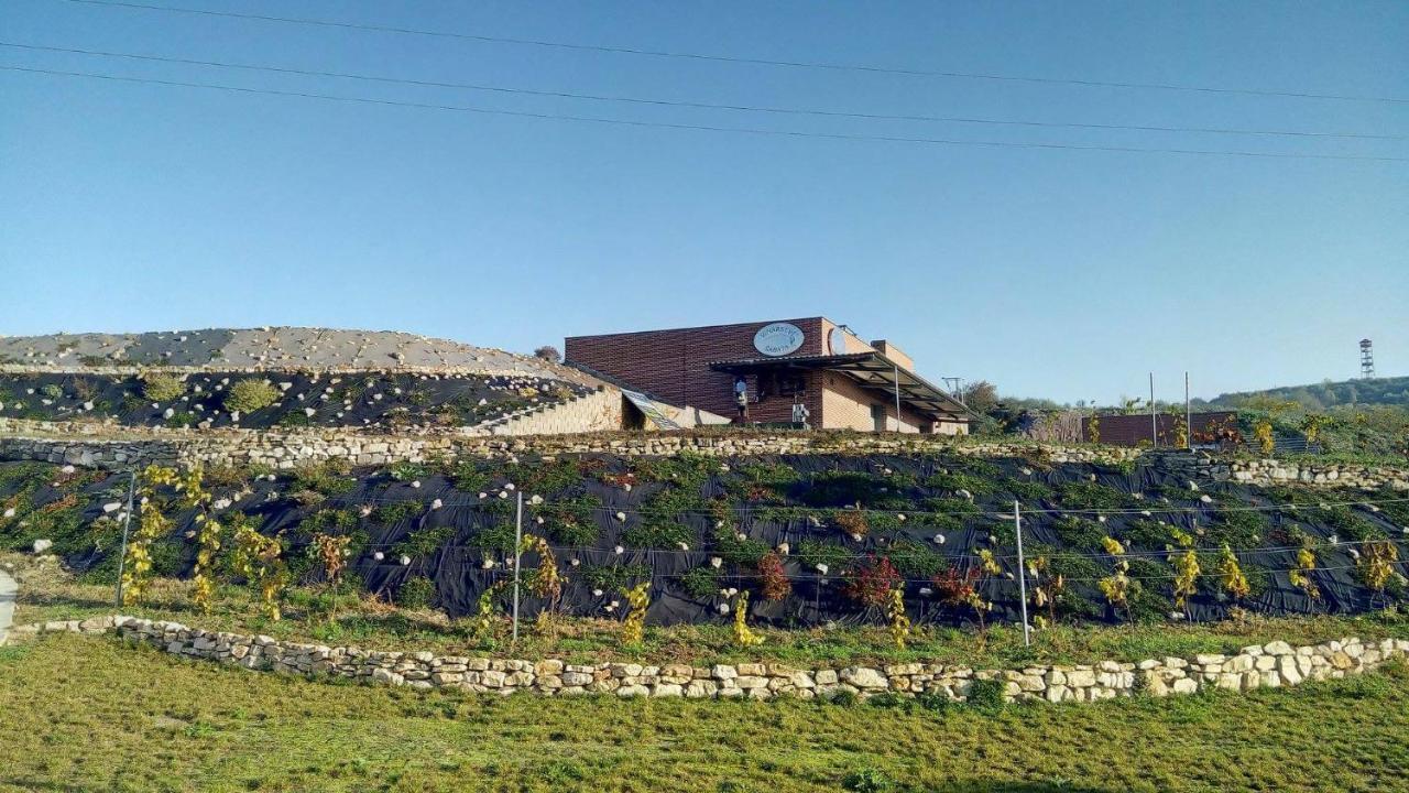 Zaječí Penzion U Vinarstvi Sabata מראה חיצוני תמונה